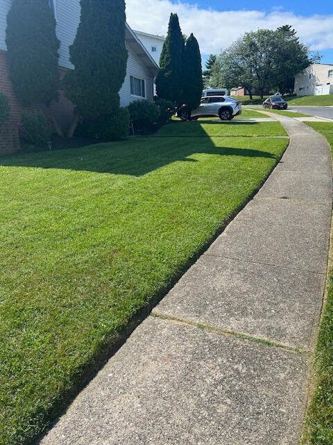 Now servicing multiple homes in Pikesville neighborhoods. Limited weekly route openings for Spring 2026.